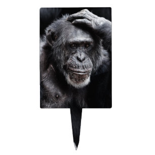 Old Chimpanzee cake topper