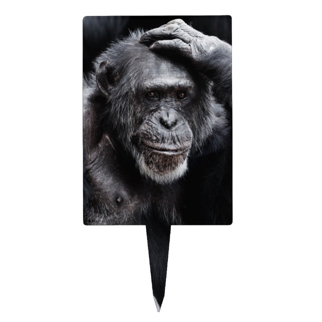 Old Chimpanzee cake topper (Front)