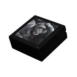 Old Chimpanzee gift / jewelry box