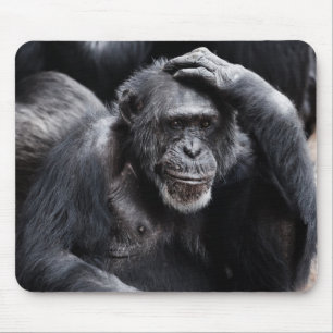 Old Chimpanzee mousepad
