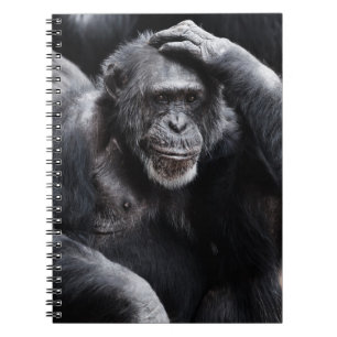 Old Chimpanzee notebook