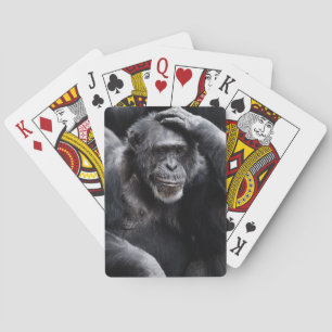 Old Chimpanzee playing cards