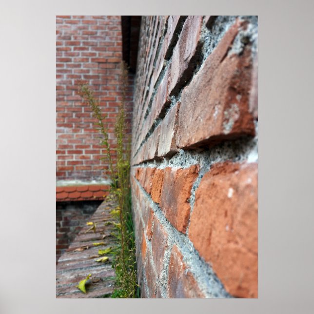 old city wall poster (Front)