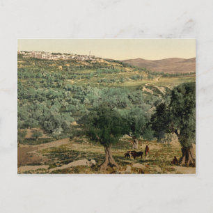 Old colored photo of the Samaria, in the holy land Postcard
