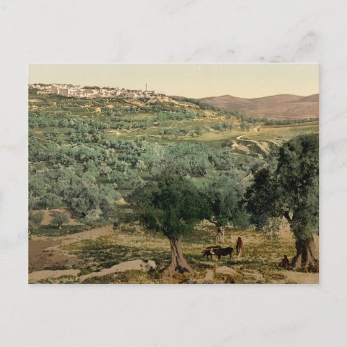 Old colored photo of the Samaria in the holy land Postcard
