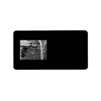 Old cottage and Tree. Black and white. Label