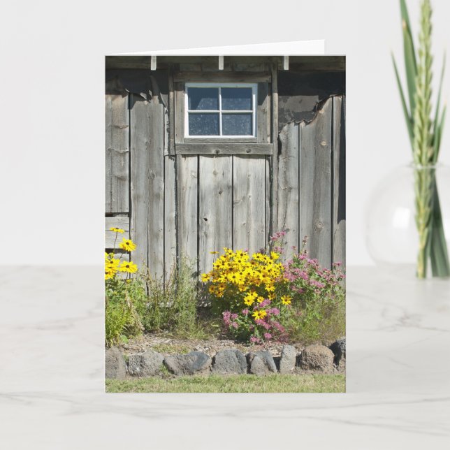 Old Country Beauty Card (Front)