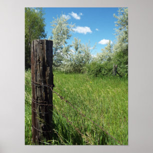 Old Country Fence Post Poster