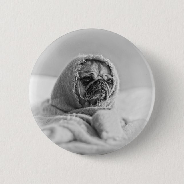 Old Country Pug Pinback Button (Front)