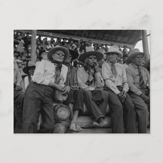 Old Cowboys At Rodeo Vintage Photo  Postcard (Front)
