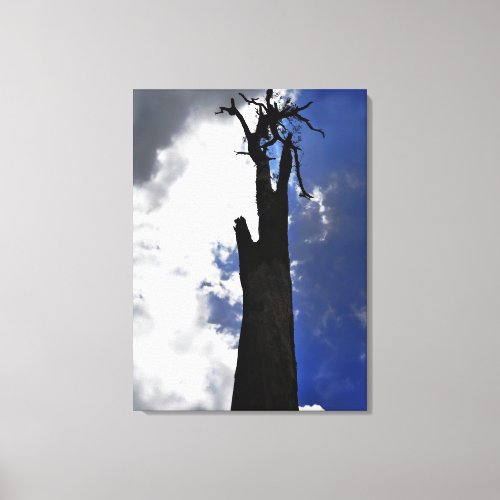 Old dead tree against dark cloudy sky canvas print