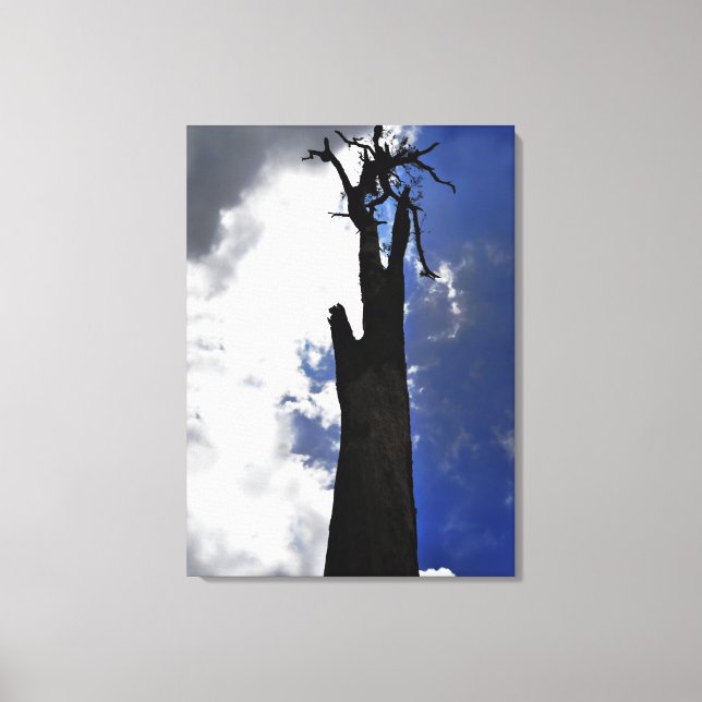 Old dead tree against dark cloudy sky canvas print (Front)
