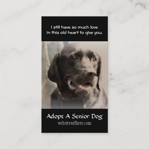 Customizable Old Dog  Animal Rescue Business Card