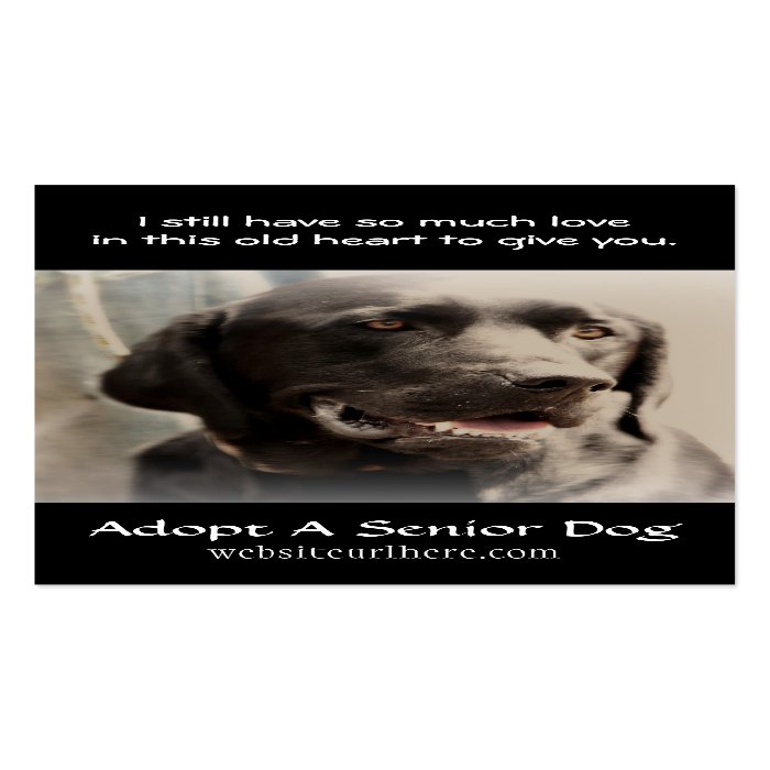 Old Dog Animal Rescue Business Card