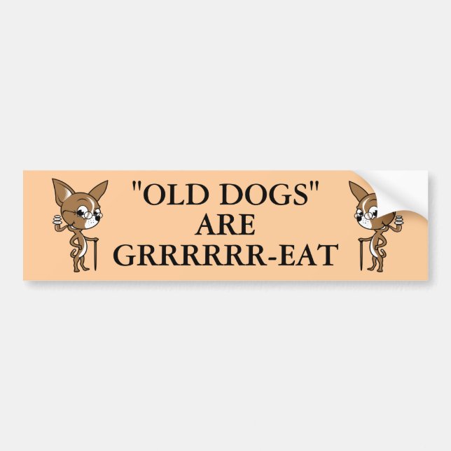 "OLD DOG" Logo with Sayin' Bumper Sticker (Front)