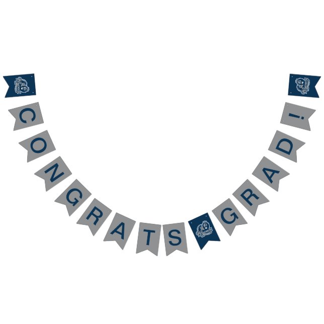 Old Dominion University Graduation Bunting Flags (All)