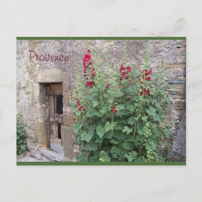 Old door with red honeysuccle , Provence postcard (Front)