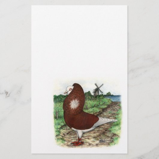 Old Dutch Capuchine Pigeon (Front)