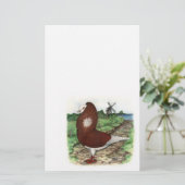 Old Dutch Capuchine Pigeon (Standing Front)