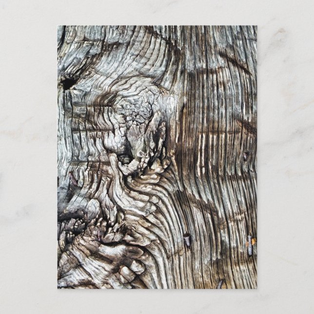 OLD ENGLAND POSTCARD (Front)