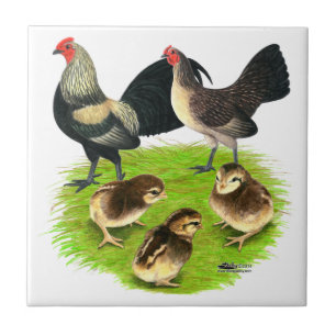 Old English Bantam Brassy Back Family Tile