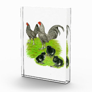 Old English Barred Bantam Family Award