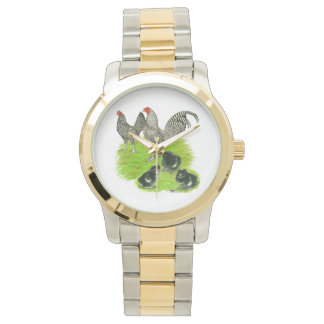 Old English Barred Bantam Family Watch