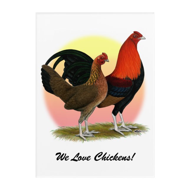 Old English Game Bantam:  BB Red Acrylic Print (Front)