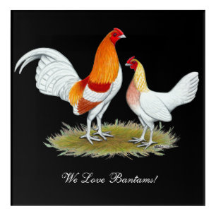 Old English Game Bantam: Red Pyle Acrylic Print