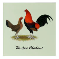 Old English Game Bantams:  BB Red Pair