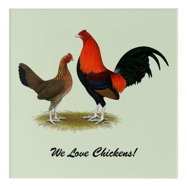 Old English Game Bantams:  BB Red Pair Acrylic Print (Front)