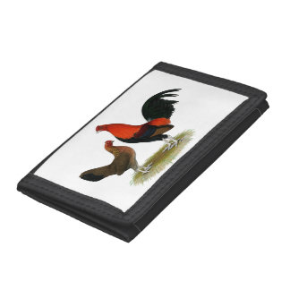 Old English Game Bantams: BB Red Pair Trifold Wallet