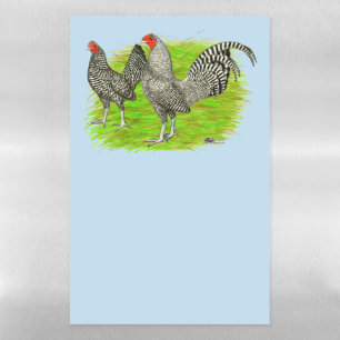 Old English Game Barred Chickens Magnetic Dry Erase Sheet