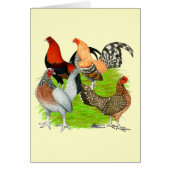 Old English Game Quartet (Front)