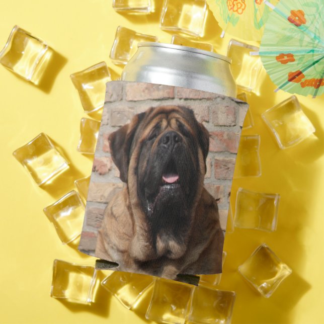 old English Mastiff Can Cooler (In Situ Summer)