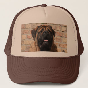 ledsager terning føderation Hund Hats & Caps | Zazzle
