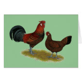Old English Pheasant Fowl (Front Horizontal)