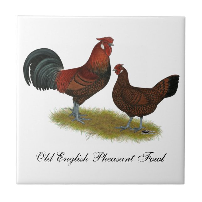 Old English Pheasant Fowl Tile (Front)