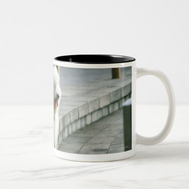 Old English Sheep Dog 2 Two-Tone Coffee Mug (Right)