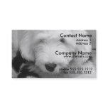 Old English Sheep Dog Business Card