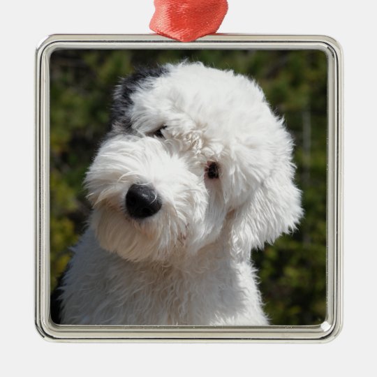 old english sheep dog statue