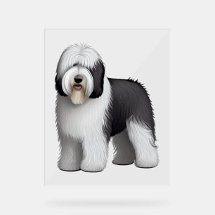 Old English Sheepdog 10 Acrylic Sign