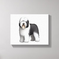 Old English Sheepdog 10
