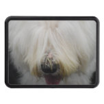 old-english-sheepdog-6.jpg hitch cover