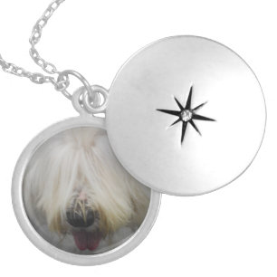 old-english-sheepdog-6.jpg locket necklace