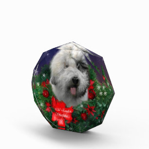 Old English Sheepdog Acrylic Award