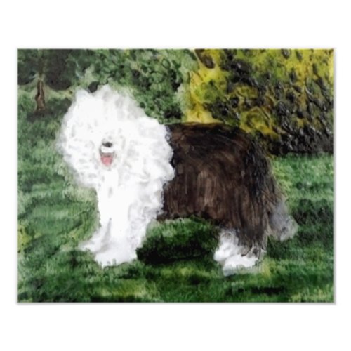 Old English Sheepdog Art Photo Print