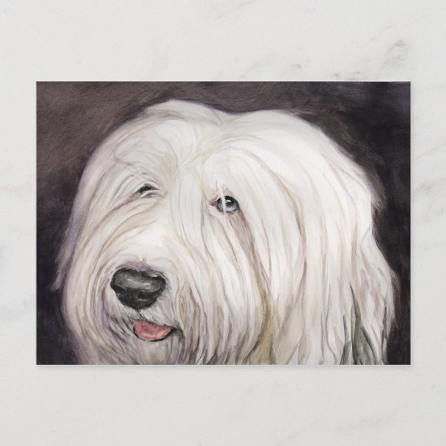 Old English Sheepdog Art Postcard (Front)