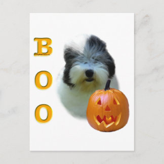Old English Sheepdog Boo Postcard
