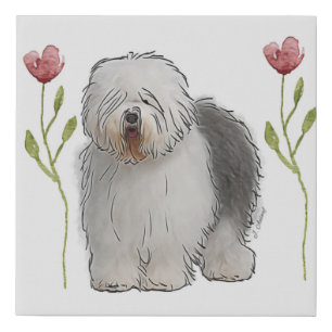 Old English Sheepdog Canvas Print